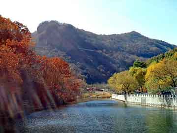 新澳天天开奖资料大全旅游团，营口中板